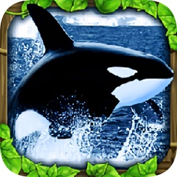 虎鲸的3d模拟器手机游戏