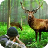 经典猎鹿人手机游戏