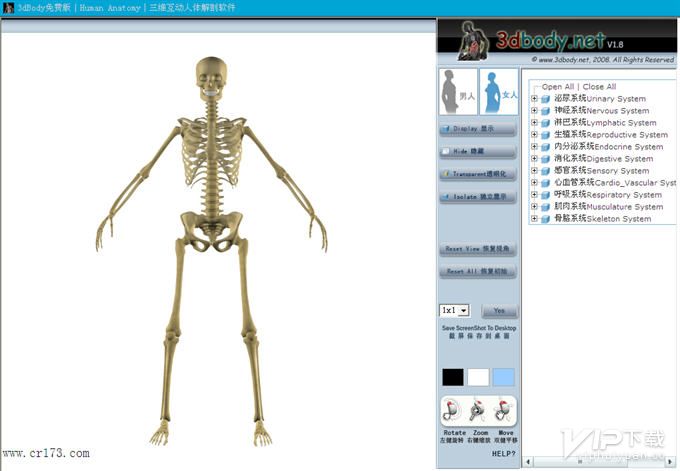 人体解剖学3d软件下载