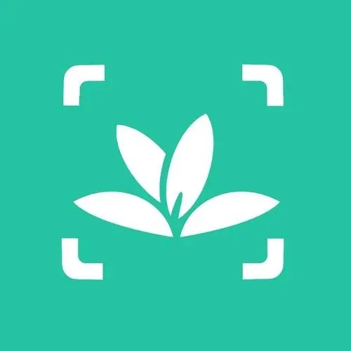 草本植物识别软件