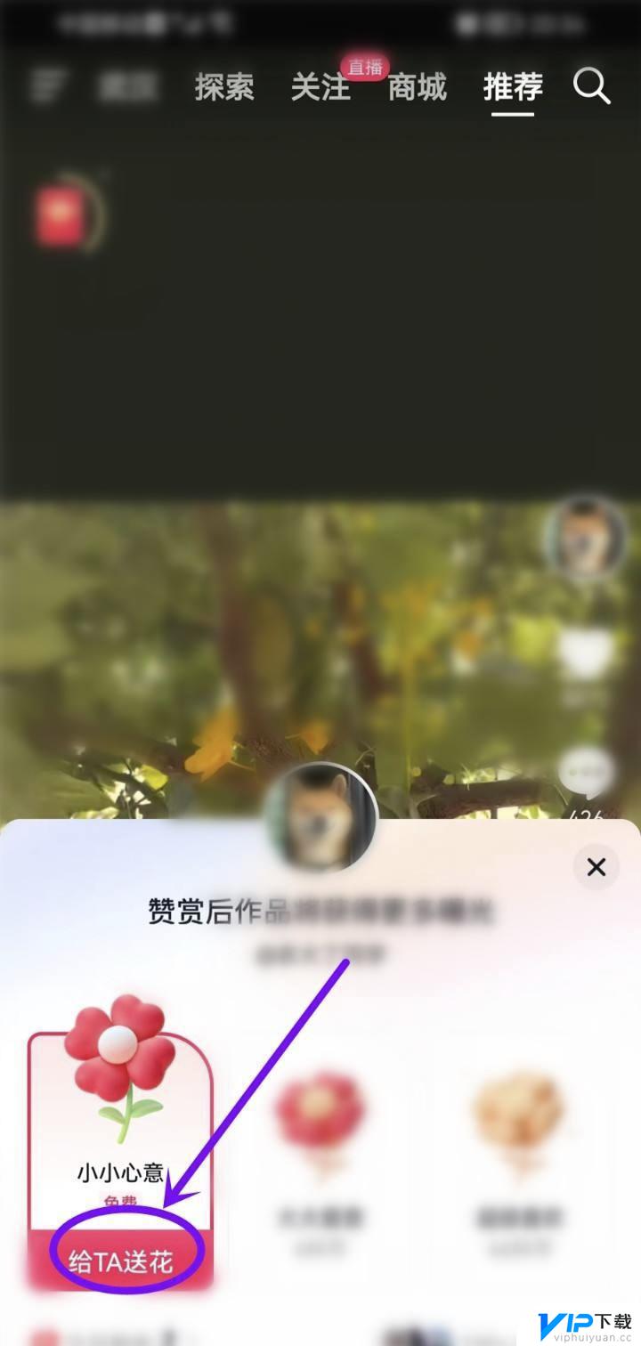 抖音怎样给点赞的人送花呢 抖音怎么送花赞赏