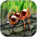 蚂蚁荒野生存模拟安卓版本