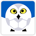 雪缘园足球网app