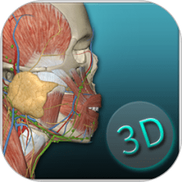 人体解剖学3d软件