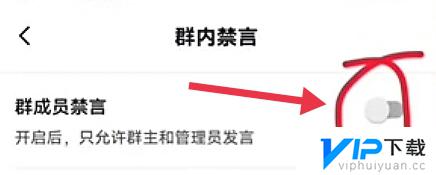 抖音群能设置不看其他人吗 抖音群怎么设置全员禁言