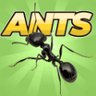 口袋蚂蚁模拟器手机游戏