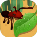 蚂蚁进化3d安卓版