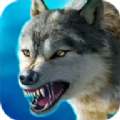 动物生存模拟器之狼手机游戏