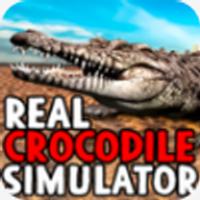 鳄鱼模拟器