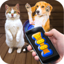 猫猫语翻译器app